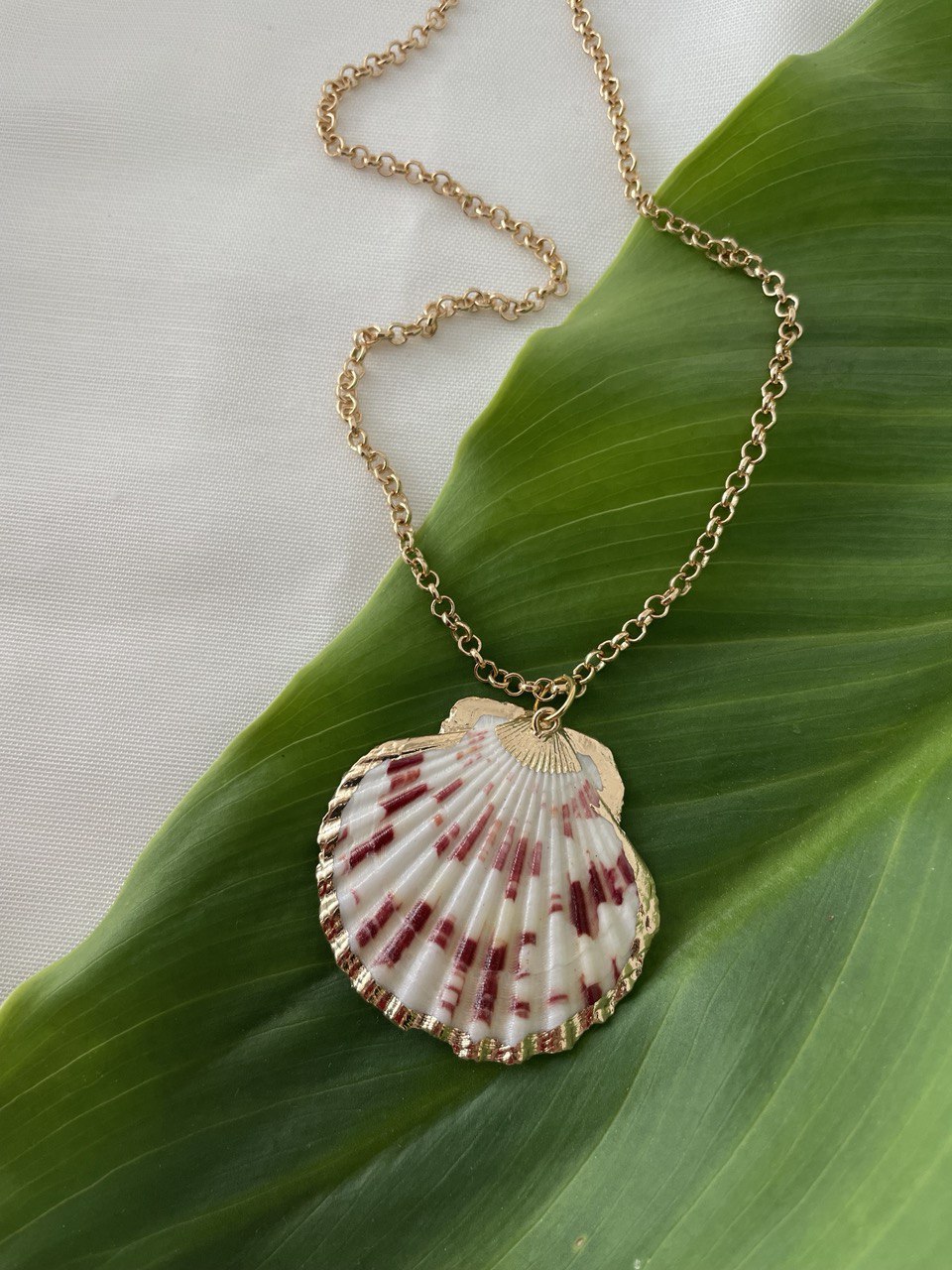 Цепочка с ракушкой