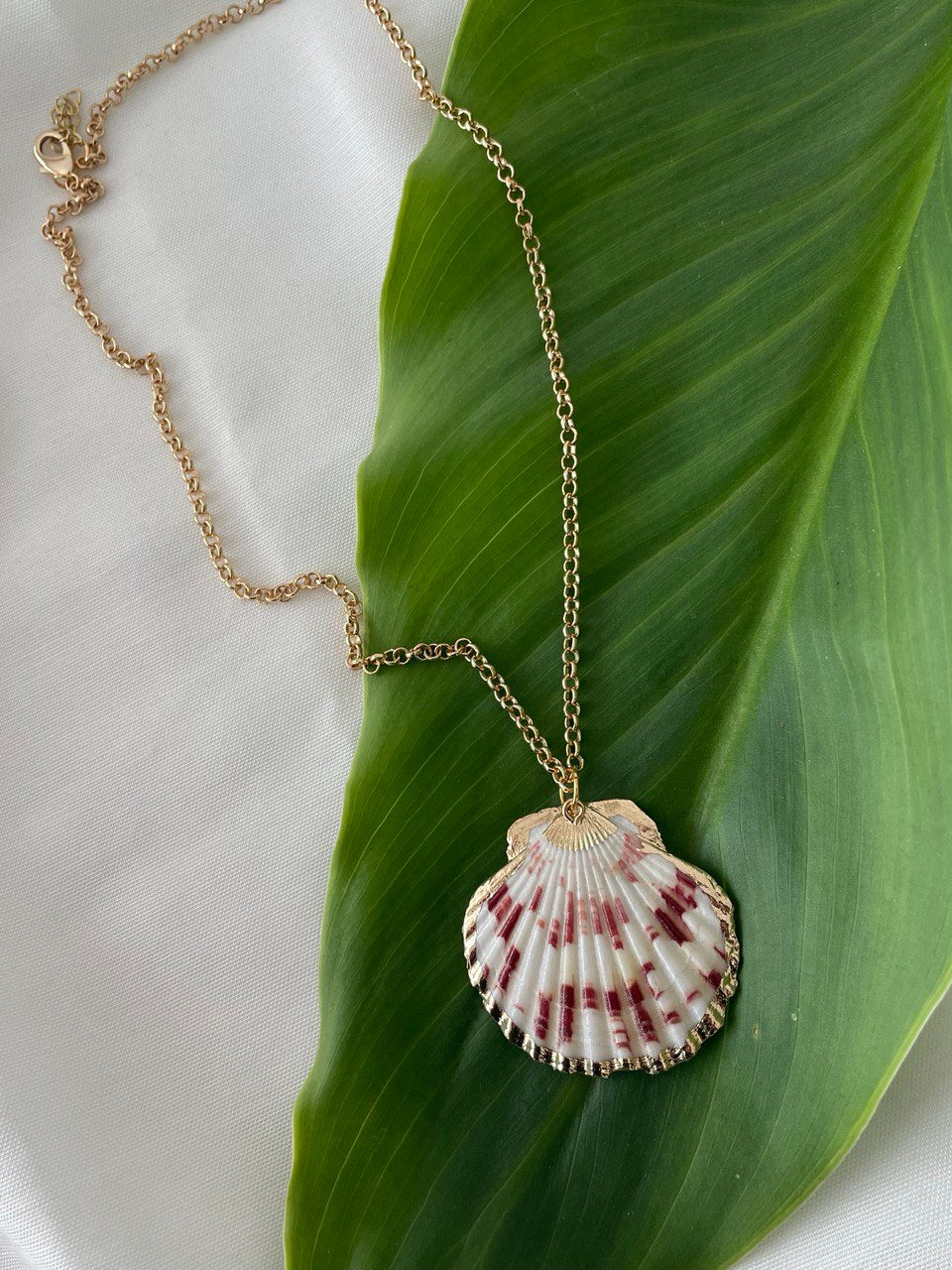 Цепочка с ракушкой